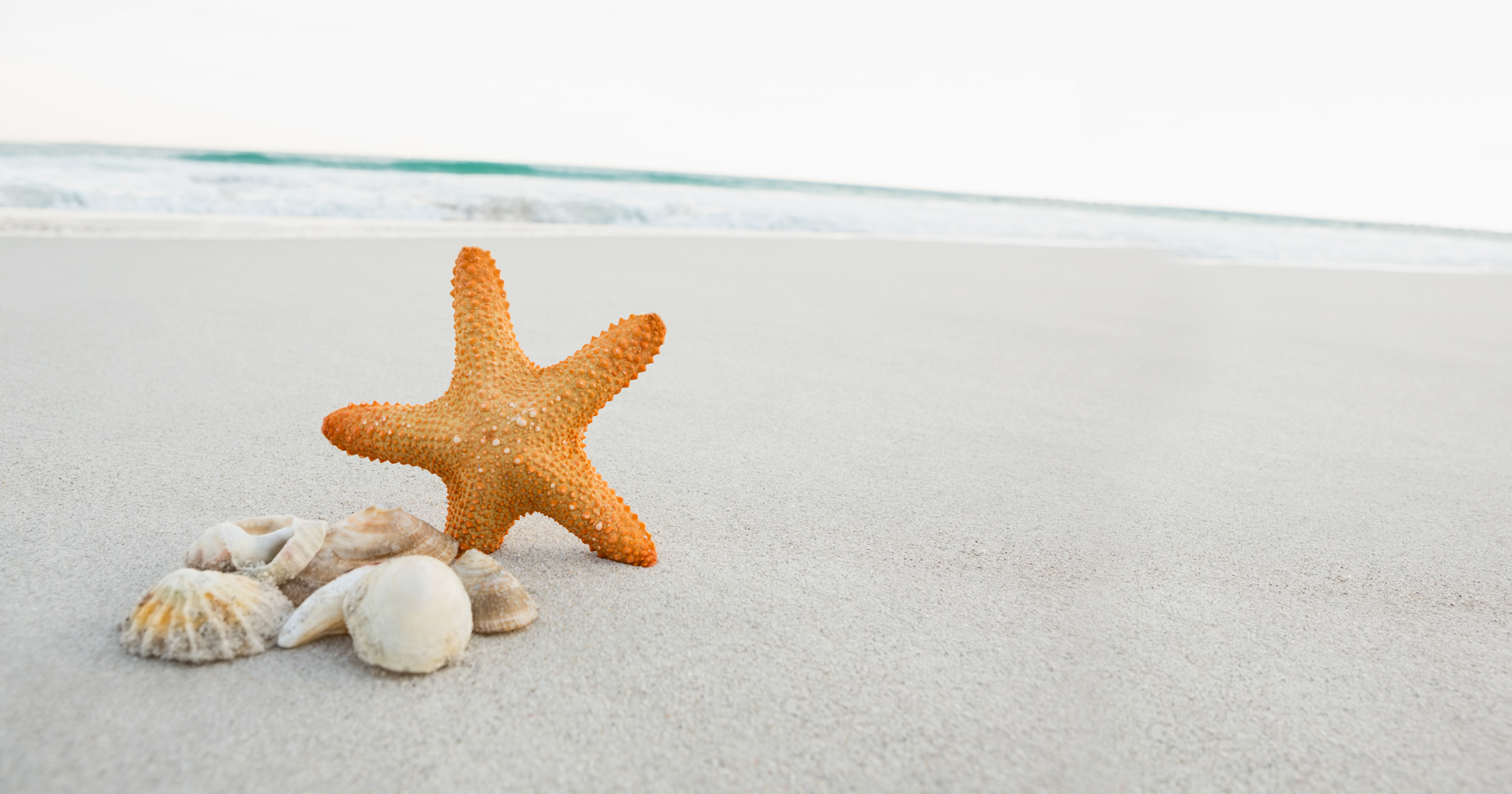 Odkryj na nowo piękno polskich plaż